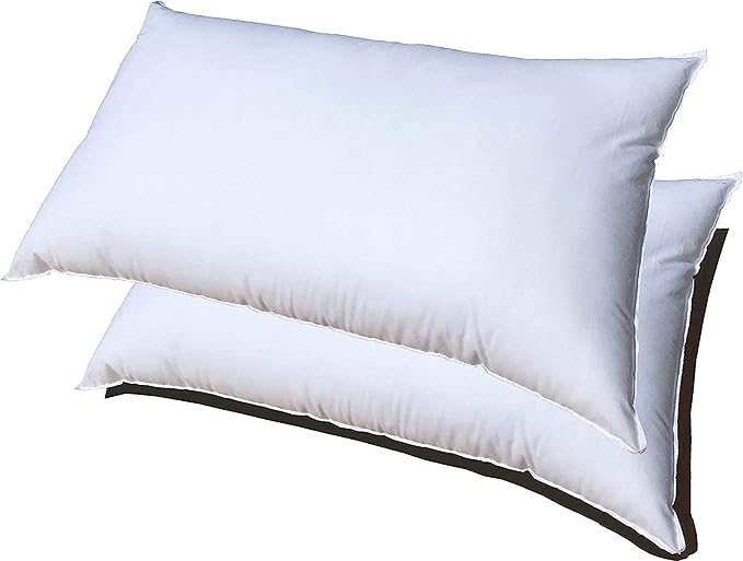 raajsee 12x20 Throw Pillow Inserts Set of 2, Soft Fluffy Down Alternative Throw Pillows for Couch, Pillow Forms 12 x 20, Pillow Filling Stuffing for Decorative Covers,Machine Washable