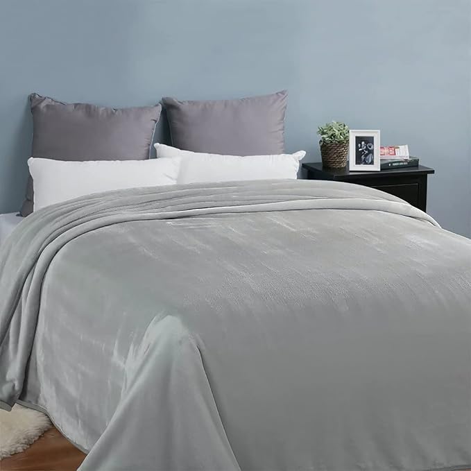 EASELAND Twin Size Blanket All Season Warm Fuzzy Microplush Lightweight Thermal Fleece Blankets,66x90 Inches,Silver Gray