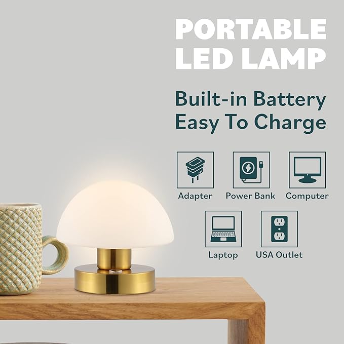 JONATHAN Y JYL7113A Zoe 5.75" Bohemian Farmhouse Iron Rechargeable Integrated LED Table Lamp Contemporary Bedside Desk Lamp for Bedroom Living Room Office, Oil Rubbed Bronze/White