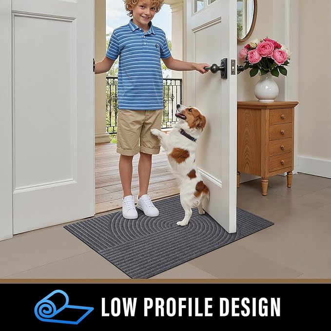 PLEASOR Front Door Mat Outside Entrance, Dirt Resistant and Absorbent Welcome Door Mat Outdoor Indoor,Sturdy Non-Slip Backing Entry Mat, Low Profile Doormat for Entryway, 36x24, Grey