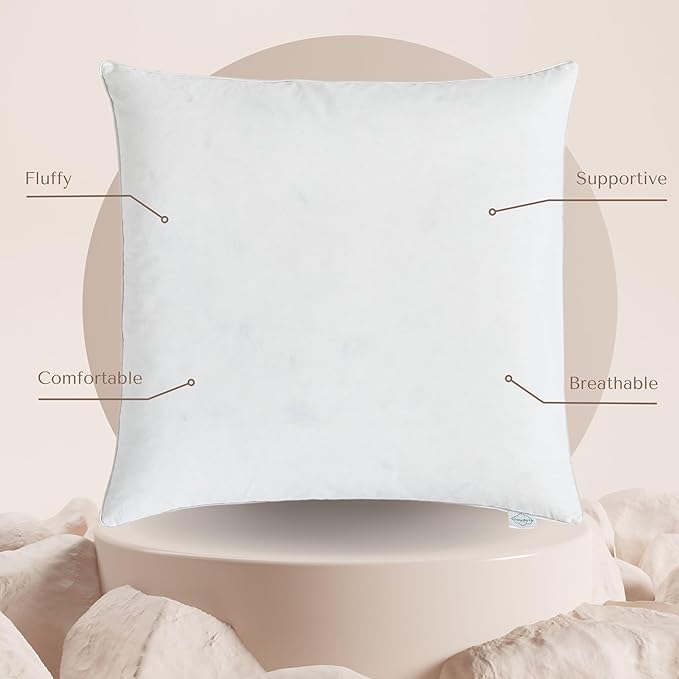 CLOUDOTE Goose Feather Down Throw Pillow Insert (24"x24", Pack of 2), Decorative Pillow for Sofa, Couch, Bed, Chair Cushion