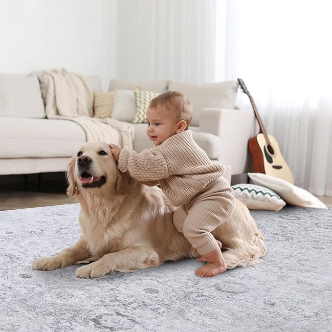 Vanmoos 4x6 Area Rug - Machine Washable, Non-Slip Soft Carpet for Living Room, Bedroom, Office, Dining Room - Durable Accent Rug for Farmhouse & High-Traffic Areas, Nordic Serenity/Grey
