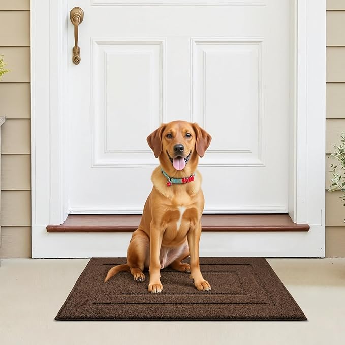GRANNY SAYS Front Door Mat Outside Entrance, Welcome Matt Indoor Non-Slip, Door Mats for Outdoor, Entryway Front Porch Matt Low Profile Resist Dirt Easy to Clean, 32" x 20", Dark Brown