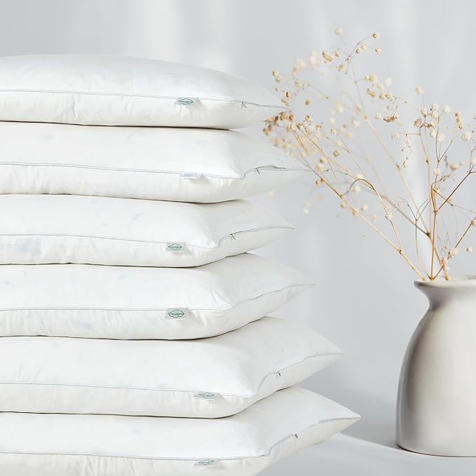 CLOUDOTE Goose Feather Down Throw Pillow Insert (24"x24", Pack of 1), Decorative Pillow for Sofa, Couch, Bed, Chair Cushion