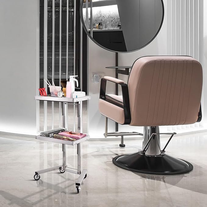 2-Tray Metal Rolling Cart, Stainless Steel Salon Tray Trolley, Foldable Utility Carts Quiet Lockable Wheels, Salon Trolley for Beauty Spa Esthetician dentals Tools, Cavitation Machine, Silver