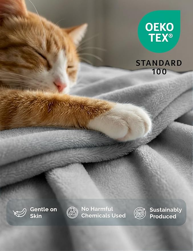 Casa Platino Fleece Throw Blankets – 300 GSM Light Gray – Soft Cozy Warm Holiday Throws for Winter, Fuzzy Plush Elegant Gifts for Kids, Men & Women - Ideal for Couch, Sofa, Chair or Bed - 50x60 Inch