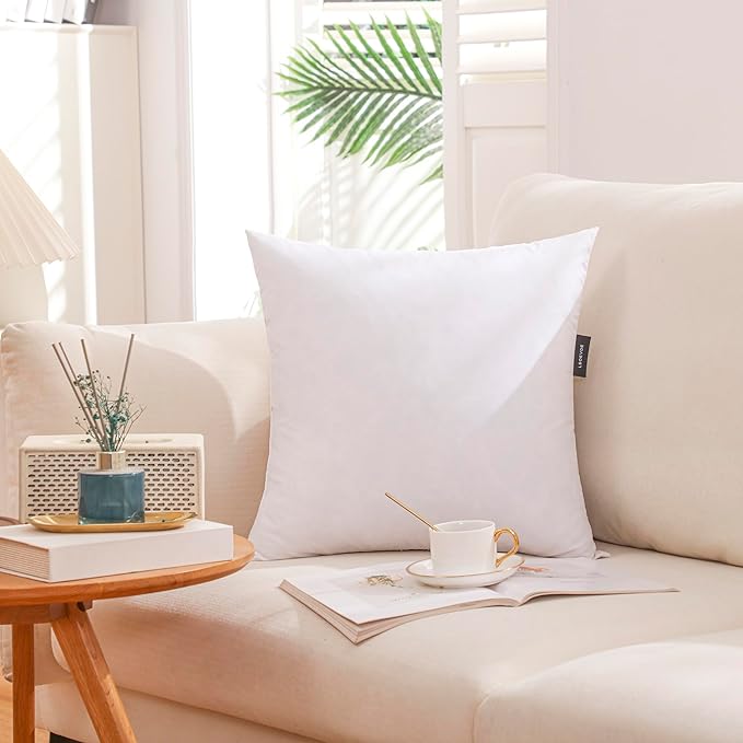 LBOEVDE 28x28 Inch Gold Goose Down and Feather Throw Pillow Inserts-1 Pack,White,Super Soft Cover,Double Layer Dwon Proof Design,High Filling Weight.