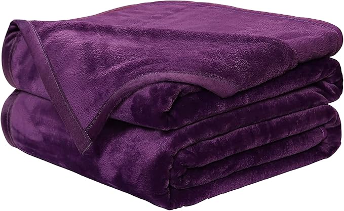 EASELAND Soft Blanket Twin Size Blanket All Season Warm Fuzzy Microplush Lightweight Thermal Fleece Blankets for Couch Bed Sofa,66x90 inches,Purple