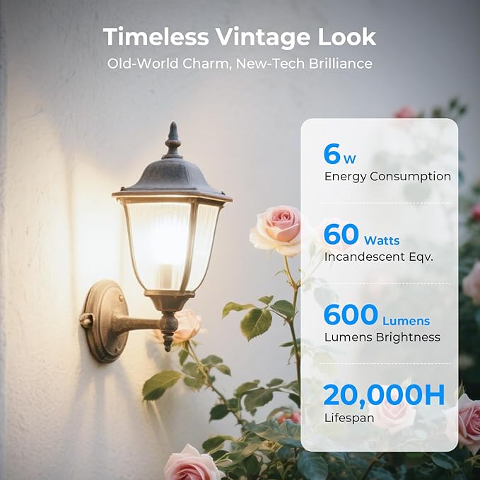 GvvooHome Dimmable Edison Bulbs, 4000K Daylight White, 6W Equivalent to 60 watt E26 LED Bulb, ST58 Vintage Light Bulbs, 600LM, 90+ CRI, E26 Base, Clear Glass, 6 Pack