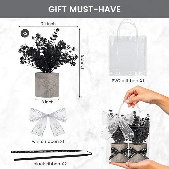 DomeStar 2PCS Faux Eucalyptus Stems, Artificial Eucalyptus Plants Greenery Stems in Pots with Gift Bags and Ribbons for Shelf Desk Home Bathroom Modern Farmhouse Living Room Coffee Table Decor (Black)