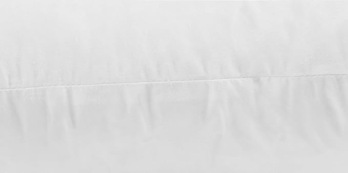 JA COMFORTS 20×20 Premium Goose Down Feather Throw Pillow Inserts(Set of 2)-5% Down Filling,High Filling Weight,250 TC Cotton Cover, Square, White