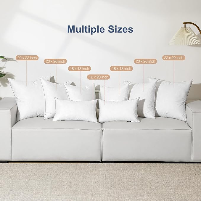 Lewondr 18x18 inch Pillow Insert Set of 2, Down and Feather Throw Pillow Inserts Premium Soft Fluffy with Piping Edge, 100% Down-Proof Square Pillow Insert for Living Room Sofa Couch Bed, White