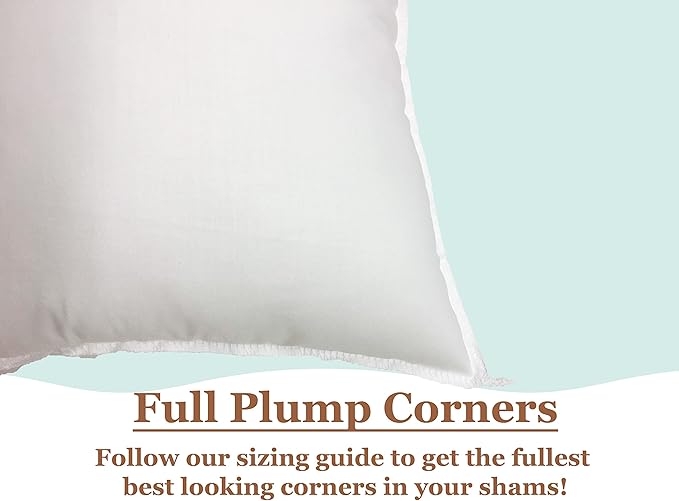 Pillowflex Premium Polyester Throw Pillow Insert - 20x20 - Ultra Soft Small Square Throw Pillow, Couch Sham, Lumbar, Back, Sofa - Machine Washable - Decorative Accent Form - 1 Soft Pillow