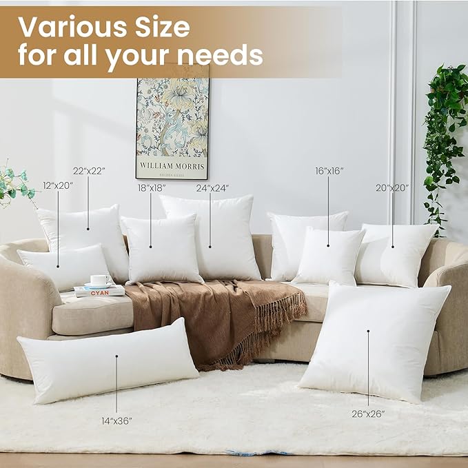 BHZ Euro Throw Pillow Inserts, 24x24 Down Feather Alternative Pillow Inserts Set of 2, Decorative Soft Large Square White Throw Pillows Insert for Couch Bed Dorm Sofa with Breathable Cover