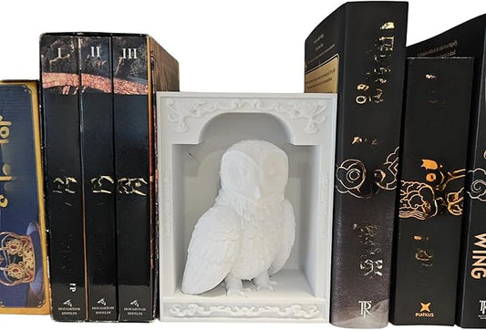 Dragons Awakening Book End – Fantasy Book Nook Insert for Dragon Readers – Unique Home Decor for Bookshelves & Libraries (White - Owl)