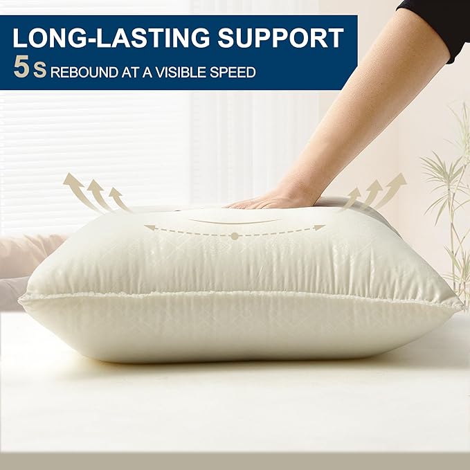 Awvco 18 x 18 Throw Pillow Inserts - Soft and Plush, Virgin Fiber Filling, Decorative Pillows for Couch Sofa Bed, Machine Washable - White, Pack of 2