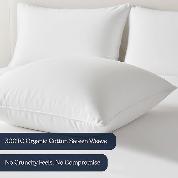 Delara Throw Pillow Inserts 22x22 Set of 2 - Organic Cotton Shell, 7D Recycled Down Alternative Fill, Decorative Lumbar Pillow Insert for Couch, Bed & Sofa - 1000 GSM, Fluffy & Supportive