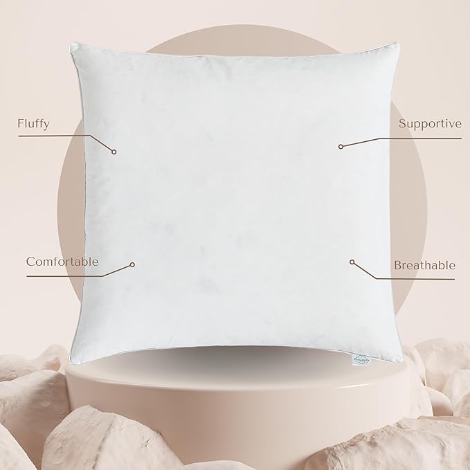 CLOUDOTE Goose Feather Down Throw Pillow Insert (24"x24", Pack of 1), Decorative Pillow for Sofa, Couch, Bed, Chair Cushion