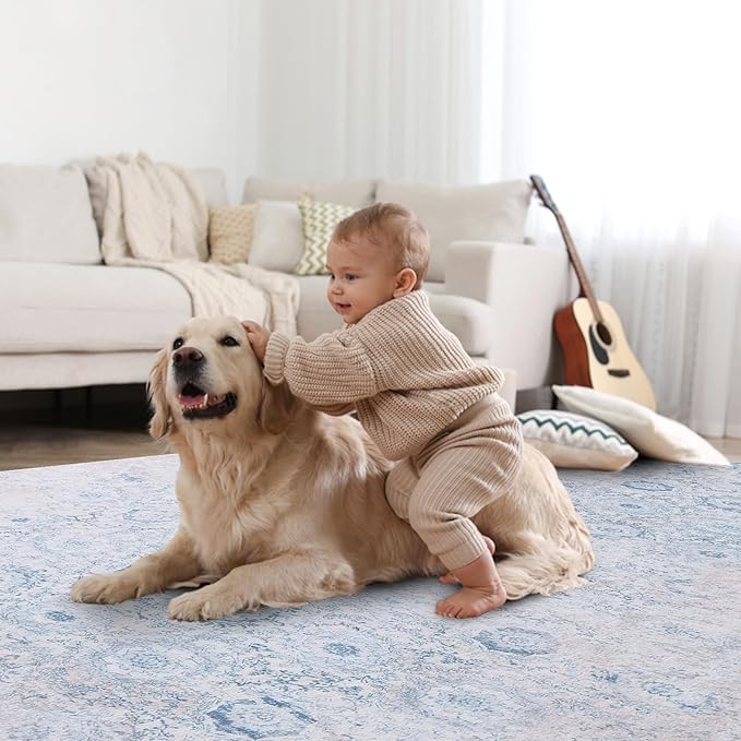 Vanmoos 4x6 Area Rug - Machine Washable, Non-Slip Soft Carpet for Living Room, Bedroom, Office, Dining Room - Durable Accent Rug for Farmhouse & High-Traffic Areas, Nordic Serenity/Blue