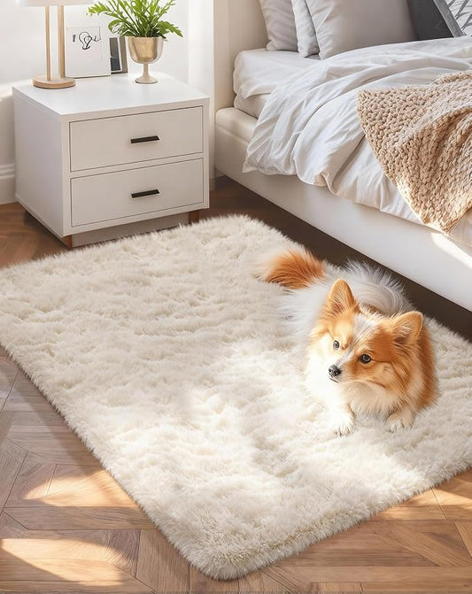 Ophanie Small Ivory Entryway Throw Rugs for Bedroom, 2x3 Mini Area Rug, Affordable Non Slip Fluffy Carpet, Fuzzy Soft Living Room Rugs, Home Decor Aesthetic, Nursery