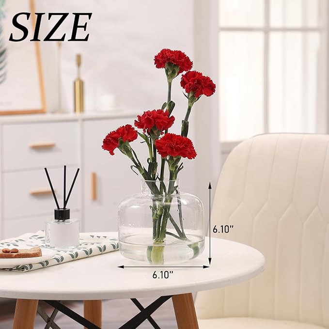 Short Glass Vase, Short Flower Vase, Round Glass Vase, Small Glass Vases for Flowers, Clear Flower Vase, 6 Inch Modern Vases for Living Room, Dining Table, Wedding, Bookshelf, Office Decoration