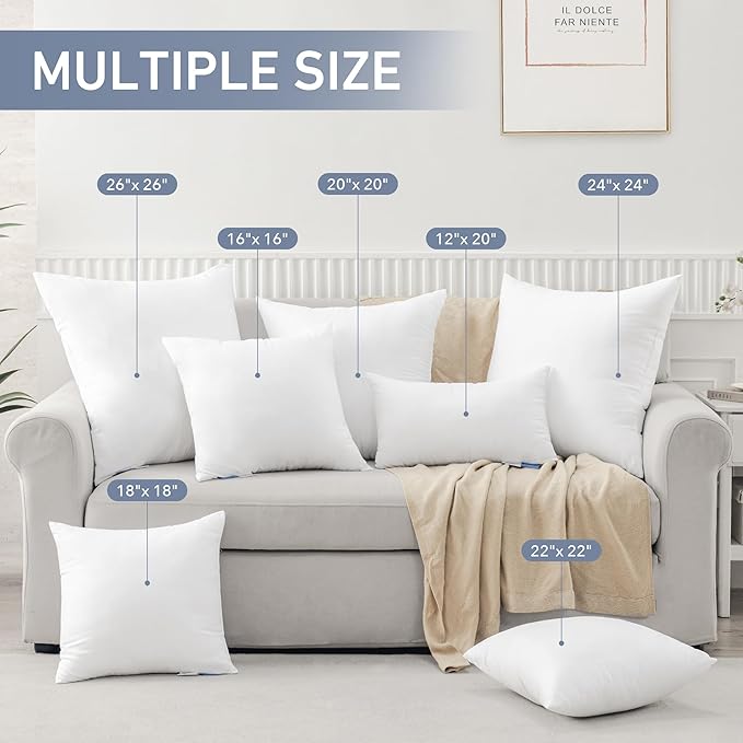 Leeden 20x20 Pillow Inserts, 20 Inch Decorative Throw Pillow Inserts, Soft Fluffy Square Throw Pillows for Couch, Sofa, Bed, and Home Decor White Cushion Pack of 2