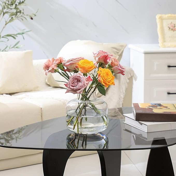 Short Glass Vase, Short Flower Vase, Round Glass Vase, Small Glass Vases for Flowers, Clear Flower Vase, 6 Inch Modern Vases for Living Room, Dining Table, Wedding, Bookshelf, Office Decoration