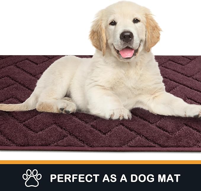 PURRUGS Dirt Trapping Door Mat 20" x 31.5", Non-Slip Machine Washable Entry Rug, Dog Doormat, Indoor Front Door Mat, Super Absorbent Entryway Rug for Muddy Shoes & Paws, Burgundy Red