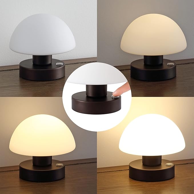 JONATHAN Y JYL7113A Zoe 5.75" Bohemian Farmhouse Iron Rechargeable Integrated LED Table Lamp Contemporary Bedside Desk Lamp for Bedroom Living Room Office, Oil Rubbed Bronze/White