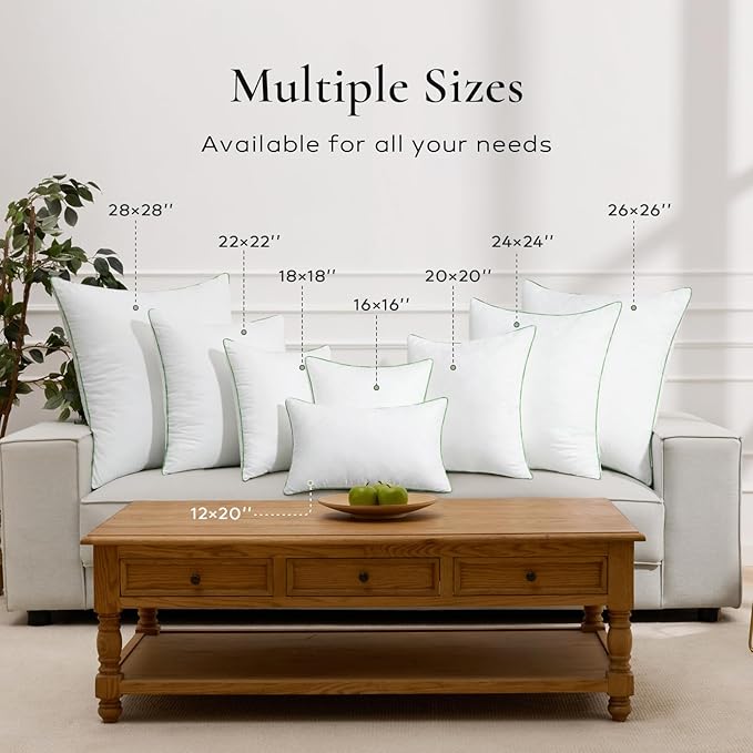 Ashler 24x24 Pillows Insert (Set of 4) - Throw Pillow Inserts with 100% Cotton Cover - 24 Inch Square Interior Sofa Stuffer Pillow Inserts -Decorative White Couch Pillow