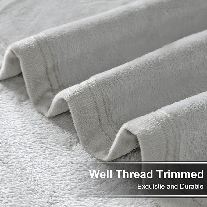 EASELAND Twin Size Blanket All Season Warm Fuzzy Microplush Lightweight Thermal Fleece Blankets,66x90 Inches,Silver Gray