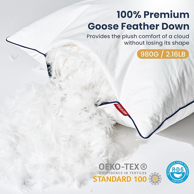 ROSE FEATHER Down Pillow Inserts 20x20, Set of 2, 100% Goose Down Feather Throw Pillows Inserts, Triple-Layer Downproof, Decorative Pillow Insert with Soft Cotton Cover for Couch,Sofa,Bed,Living Room