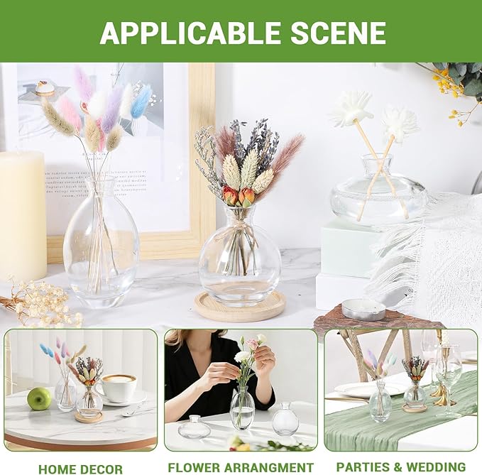 Suream Bud Vases Set of 3, Clear Small Vases for Flowers, Glass Vase for Table Centerpieces, Christmas, Wedding, Party, Events Decor