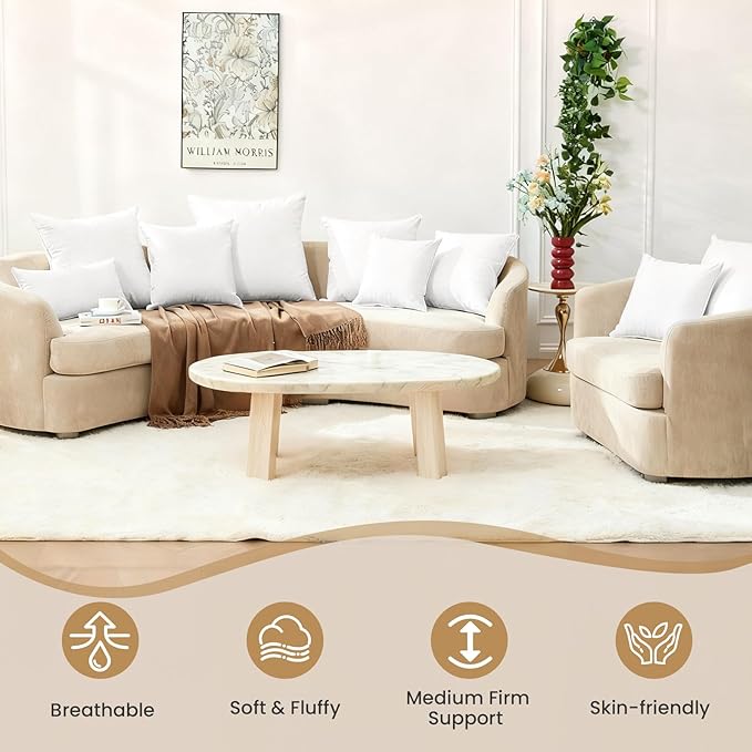 BHZ Throw Pillows 20x20 Euro Pillow Inserts Set of 2, Down Feather Alternative Pillow Inserts, Decorative Soft Large Square White Throw Pillows Insert for Couch Bed Dorm Sofa with Breathable Cover