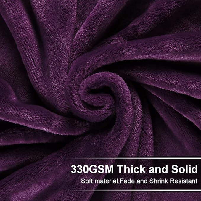 EASELAND Soft Blanket Queen Size Winter Warm Fuzzy Microplush Lightweight Thermal Fleece Blankets for Couch Bed Sofa,90x90 inches,Purple