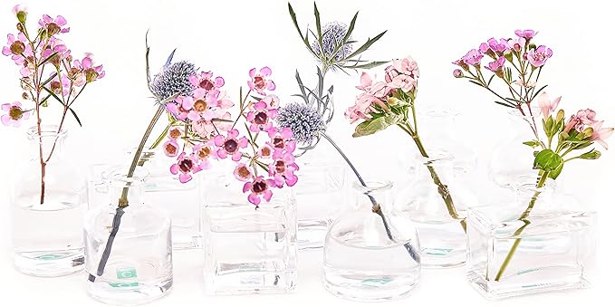 CHIVE ‘Loft’ Small Mini Flower Vases - Clear Glass Bud Vases, Set of 10 - Cute Vintage Rustic Centerpieces for Wedding, Events & Home - Premium Quality, Designed to Last