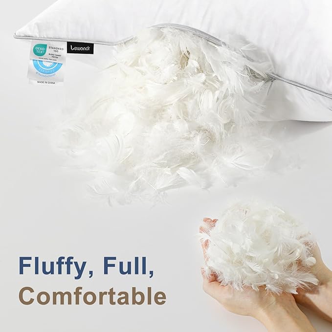 Lewondr 26x26 inch Pillow Insert Set of 2, Down and Feather Throw Pillow Inserts Premium Soft Fluffy with Piping Edge, 100% Down-Proof Square Pillow Insert for Living Room Sofa Couch Bed, White