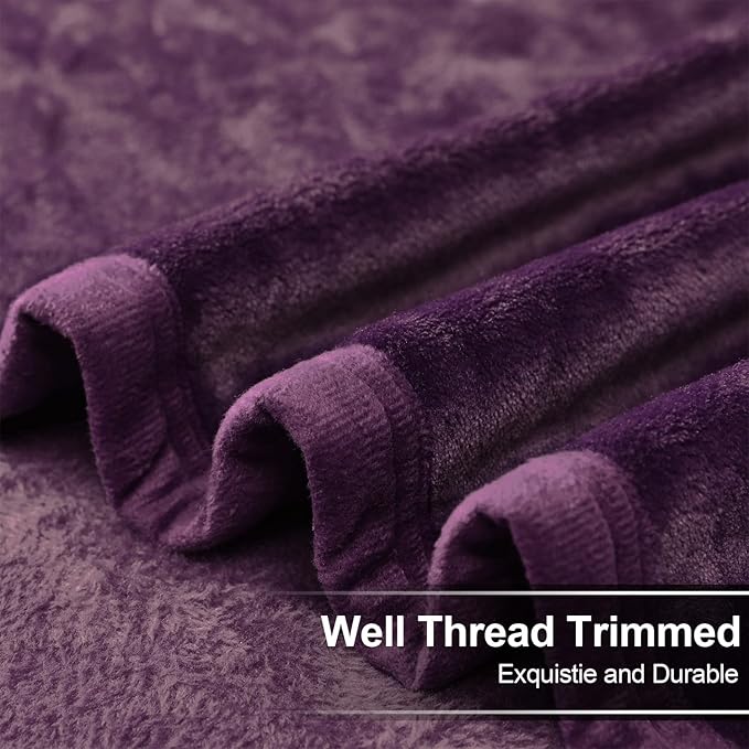 EASELAND Soft Blanket Twin Size Blanket All Season Warm Fuzzy Microplush Lightweight Thermal Fleece Blankets for Couch Bed Sofa,66x90 inches,Purple