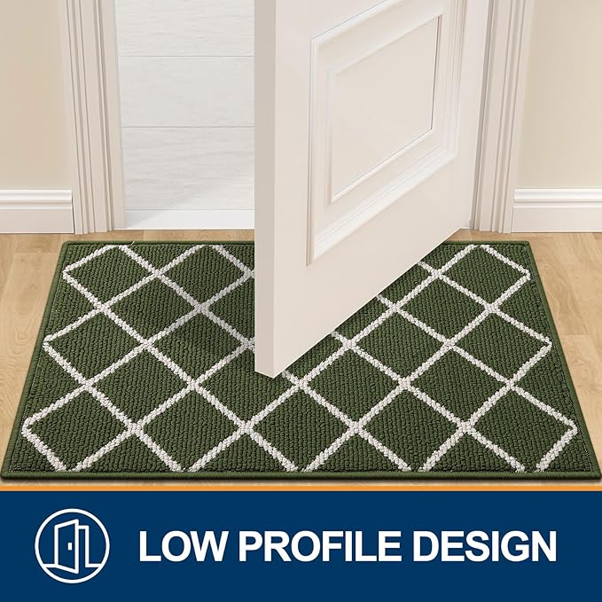Finchitty Indoor Door Mat, Dirt Resistant and Absorbent, Low-Profile, Non-Slip, Washable Inside Floor Mats for Front Door, Back, and Entrance, 48" x 32", Green