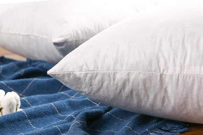 JA COMFORTS 20×20 Premium Goose Down Feather Throw Pillow Inserts(Set of 2)-5% Down Filling,High Filling Weight,250 TC Cotton Cover, Square, White
