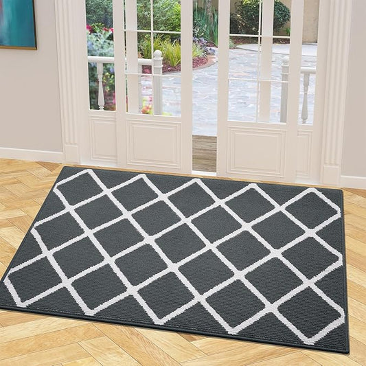 Finchitty Indoor Door Mat, Dirt Resistant and Absorbent, Low-Profile, Non-Slip, Washable Inside Floor Mats for Front Door, Back, and Entrance, 40" x 32", Charcoal