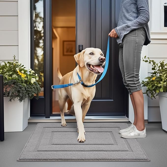 GRANNY SAYS Front Door Mat Indoor Entrance, Indoor Door Rugs for Entryway, Low-Profile, Non-Slip Rugs, Washable Floor Mat, 36x24, Grey