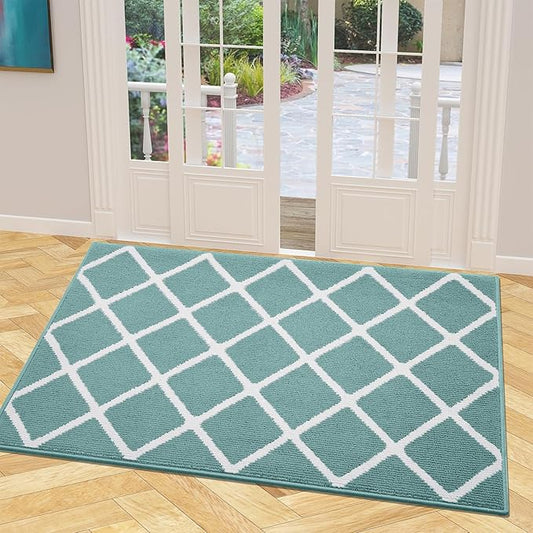 Finchitty Indoor Door Mat, Dirt Resistant and Absorbent, Low-Profile, Non-Slip, Washable Inside Floor Mats for Front Door, Back, and Entrance, 48" x 32", Sage Green