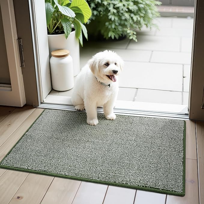 GRANNY SAYS Front Door Mat Outside Entrance, Door Mats for Entryway, Welcome Matt Non-Slip, Entryway Front Porch Mat Low Profile Resist Dirt Easy to Clean, 32"x20", Green Beige
