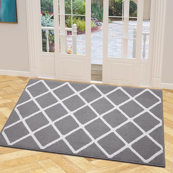 Finchitty Indoor Door Mat, Dirt Resistant and Absorbent, Low-Profile, Non-Slip, Washable Inside Floor Mats for Front Door, Back, and Entrance, 48" x 32", Grey