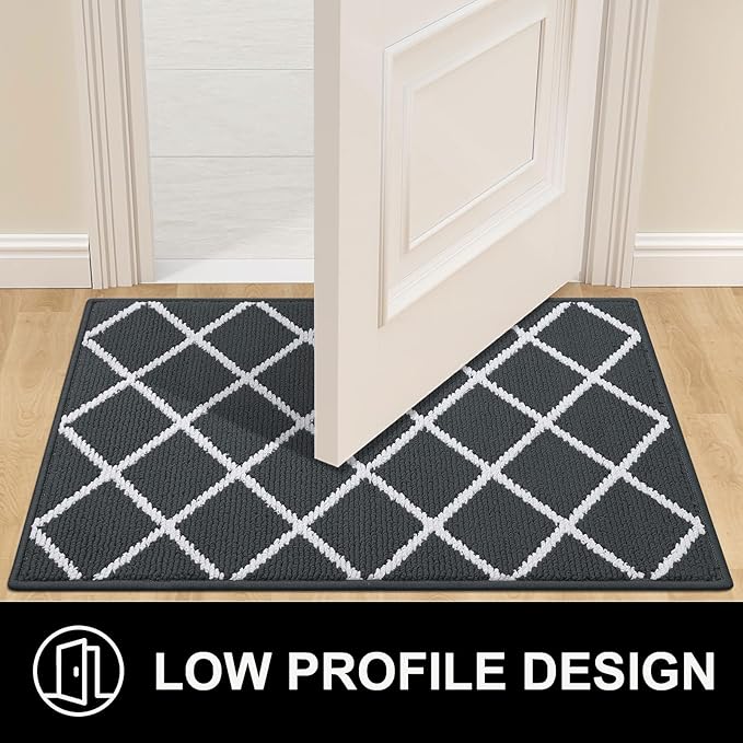 Finchitty Indoor Door Mat, Dirt Resistant and Absorbent, Low-Profile, Non-Slip, Washable Inside Floor Mats for Front Door, Back, and Entrance, 36" x 24", Charcoal