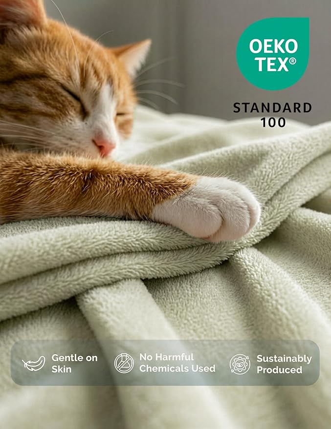 Casa Platino Fleece Throw Blankets – 300 GSM – Soft Cozy Warm Holiday Throws for Winter, Fuzzy Plush Elegant Gifts for Boys & Men - Ideal for Couch, Sofa, Chair or Bed - 50x60 Inch - Mineral