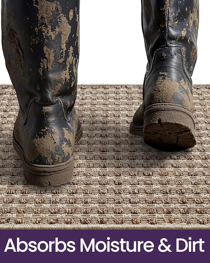 DEXI Dirt Trapper Door Mat, 31x48 Washable Doormat, Dirt Resistant and Absorbent, Easy Clean Low-Profile Floor Rugs for Entryway, Front Door, and Inside Entrance, Checkered Beige