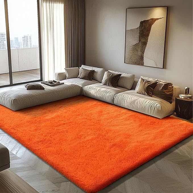 6x9 Fluffy Area Rug for Living Room,Shag Area Rugs for Bedroom,Orange Soft Fuzzy Rug Non-Shedding Indoor Plush Carpet for Kids Bedroom Nursery Dorm Home Decor