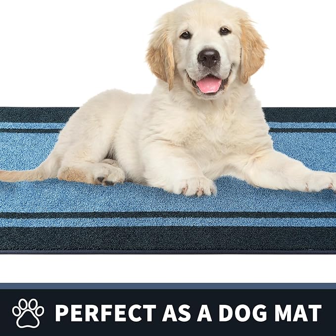 PURRUGS Dirt Trapping Door Mat 24" x 84", Non-Slip Machine Washable Entryway Rug, Entrance Mat, Indoor Front Door Mat, Super Absorbent Entry Rug for Muddy Shoes & Paws, Light Blue & Navy